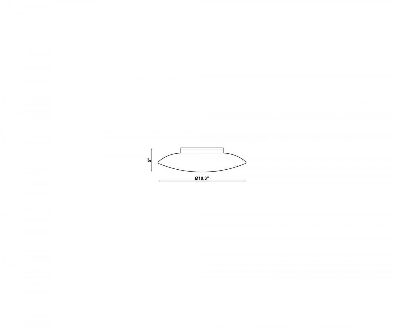c_disco_dwg_large_0_1be03b3f4a.jpg