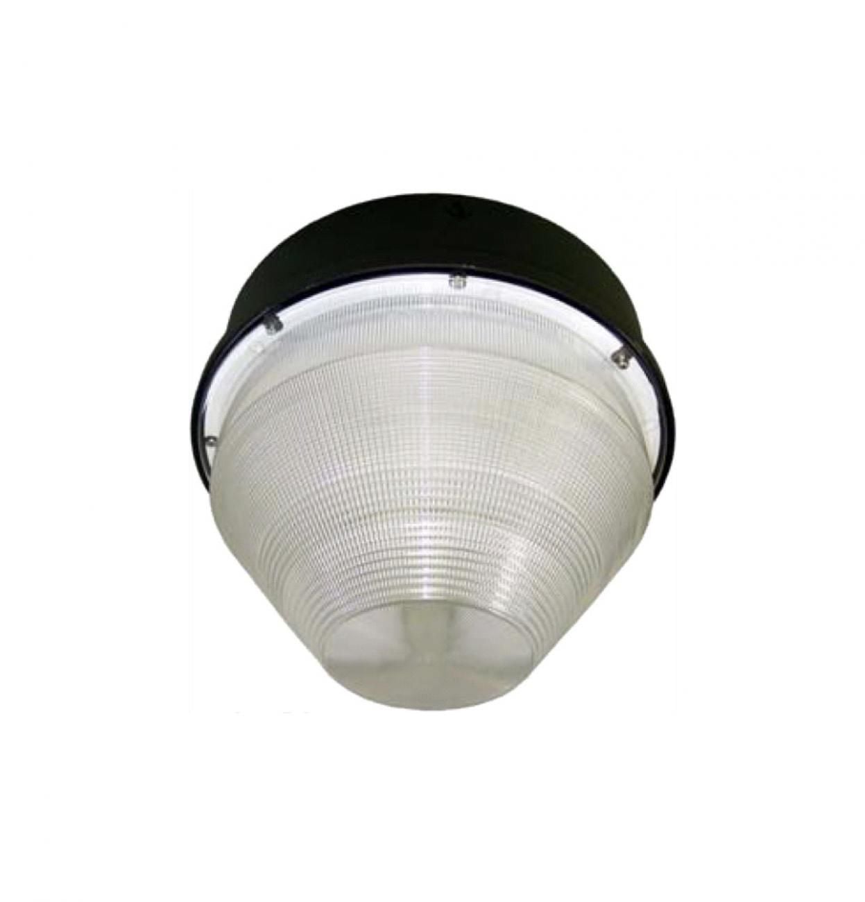 gl3_2_d57ebac66a.jpg