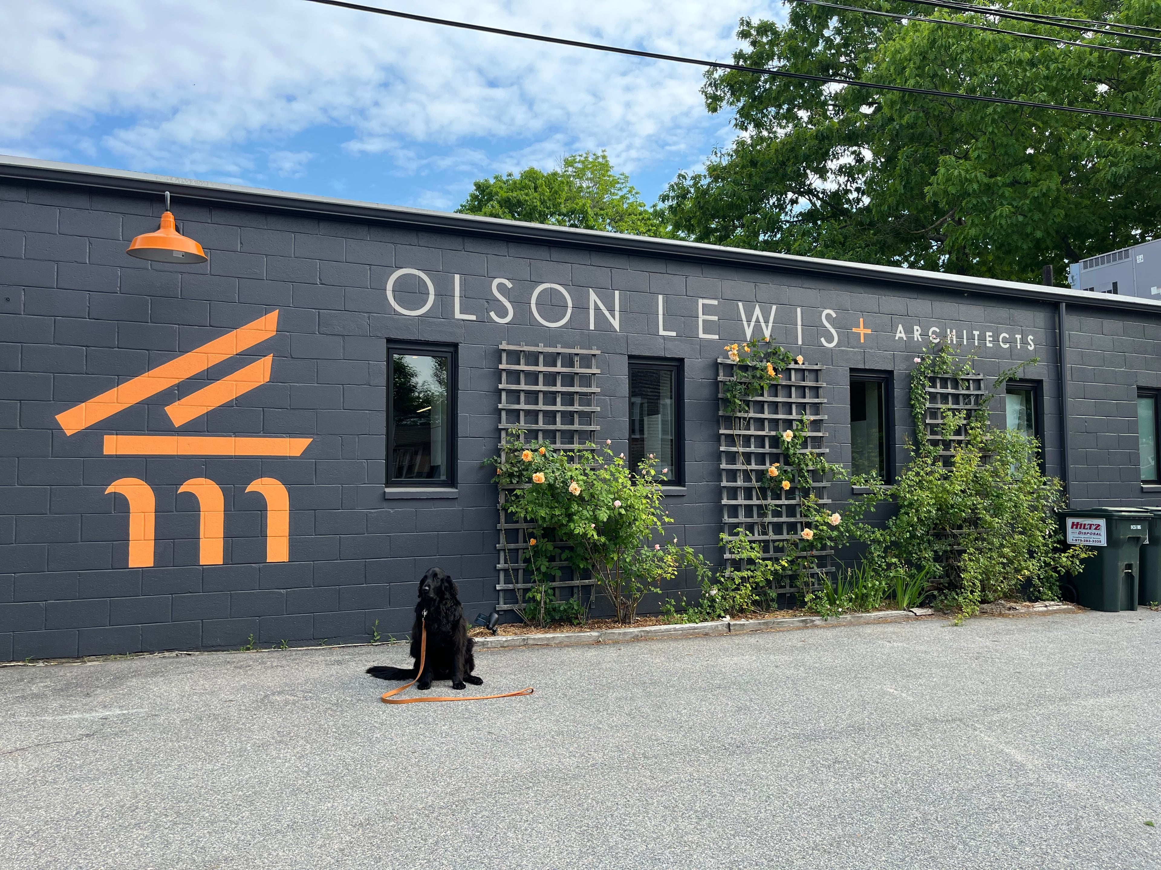 Olson Lewis + Architects