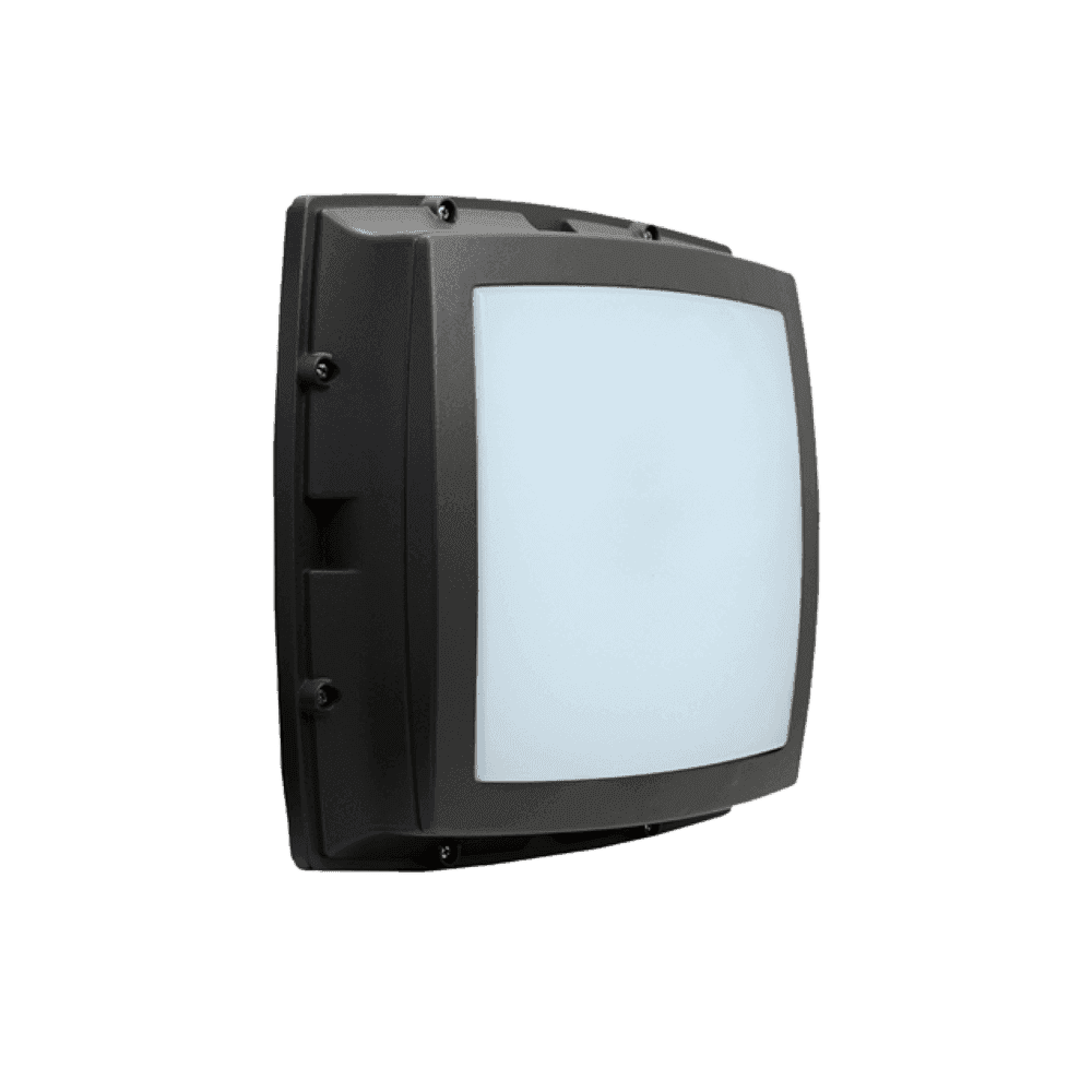 BHSE_Open_20_Frame_10e9b0d899-4674.png