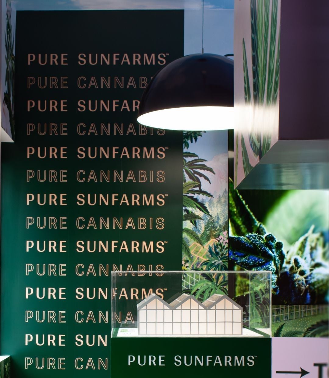 Pure Sunfarms - Image 2