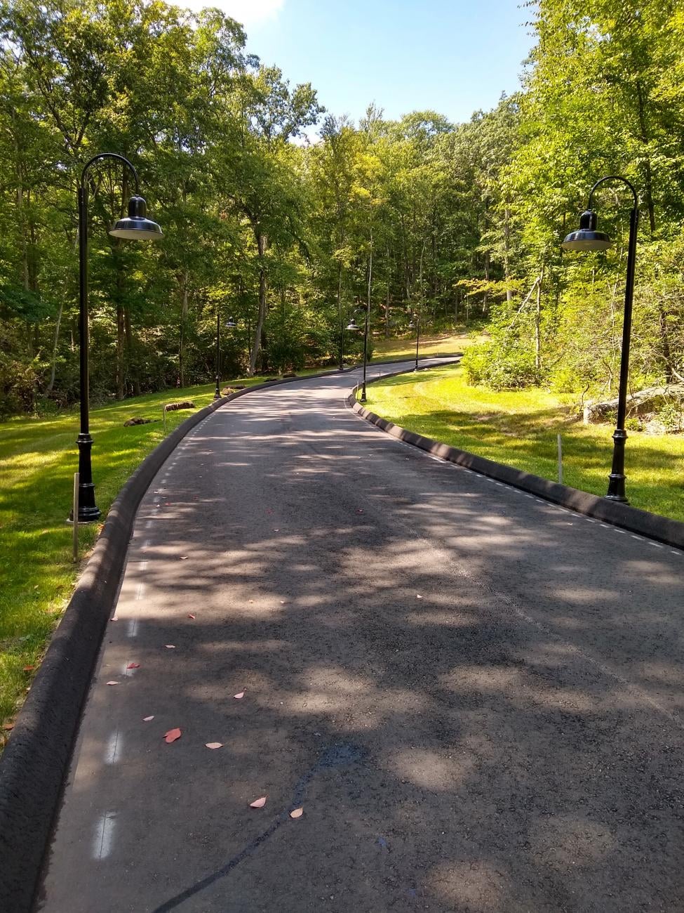 CT Home Pathway - Image 3