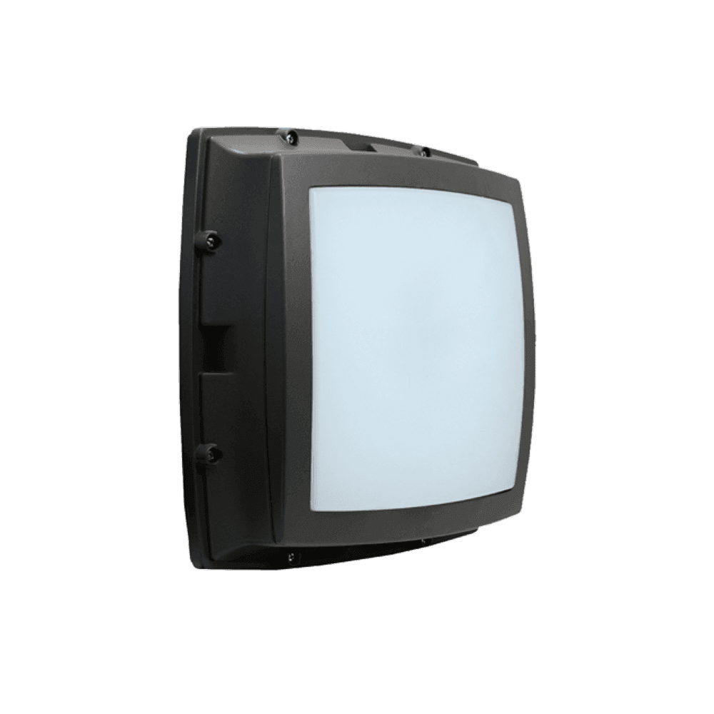 BHSE_Open_20_Frame_10e9b0d899-4674.png