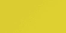 Neon Yellow