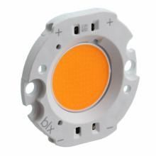 LVGV1 - 1250LM (10W)