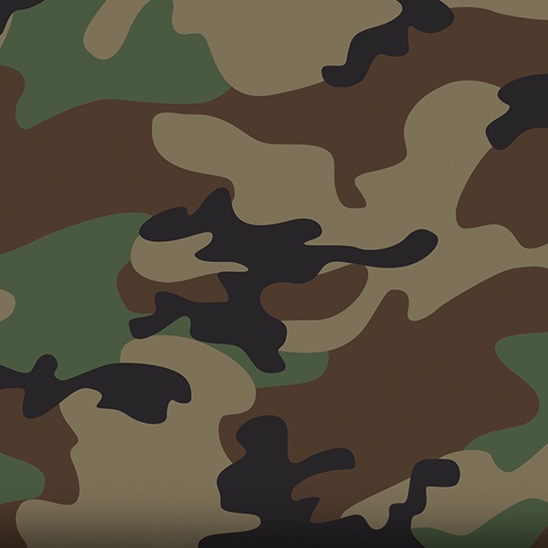 US Woodland M81 Camo