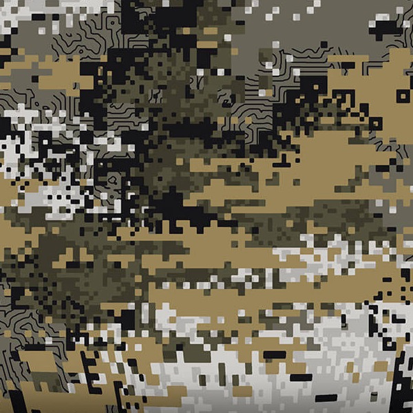 Huntworth Disruption
