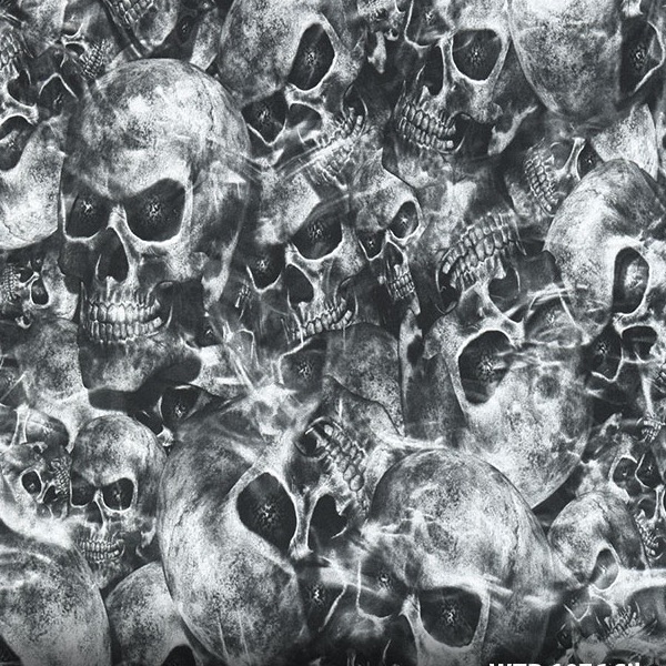 Silver Skulls