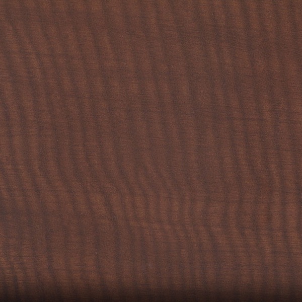 Red Brown Willow