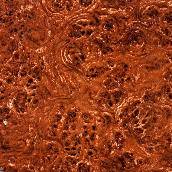 Burlwood Grain
