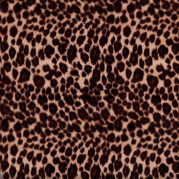 WTP-129-Cheetah