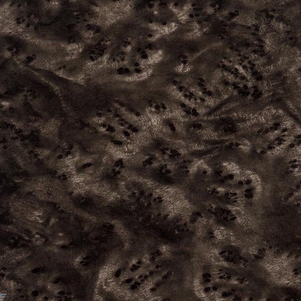 Grey Birdseye