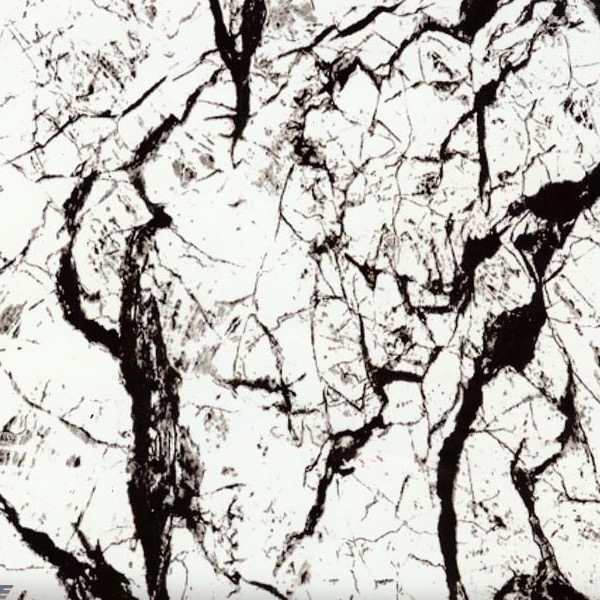 Black Vein