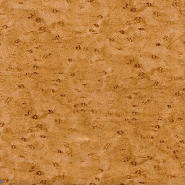Burlwood Gold
