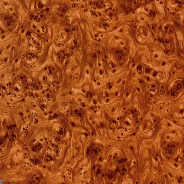 Brown Birdseye
