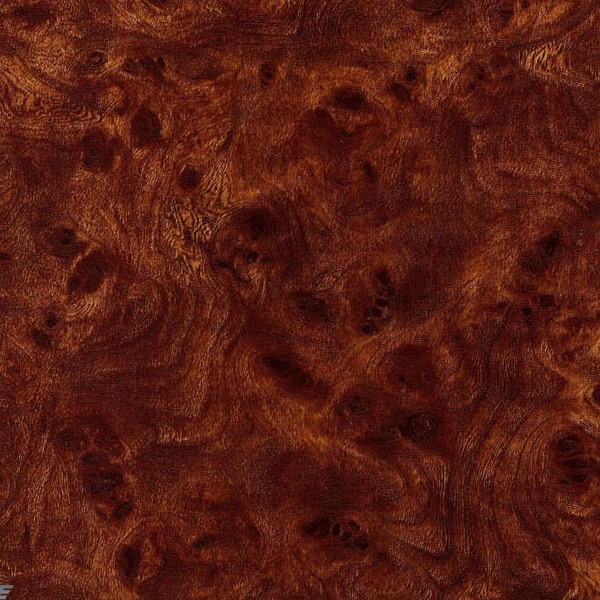 Dark Burlwood