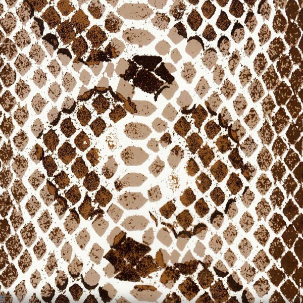 Snakeskin Illusion All Season Brown
