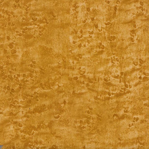 Golden Birdseye