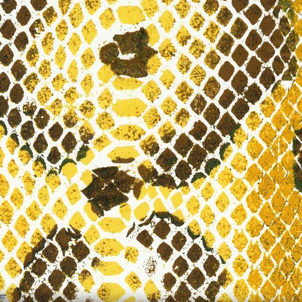Snakeskin Illusion-Fall Copper