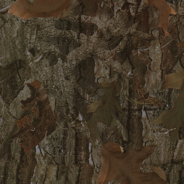 Mothwing-Woodland Mimicry