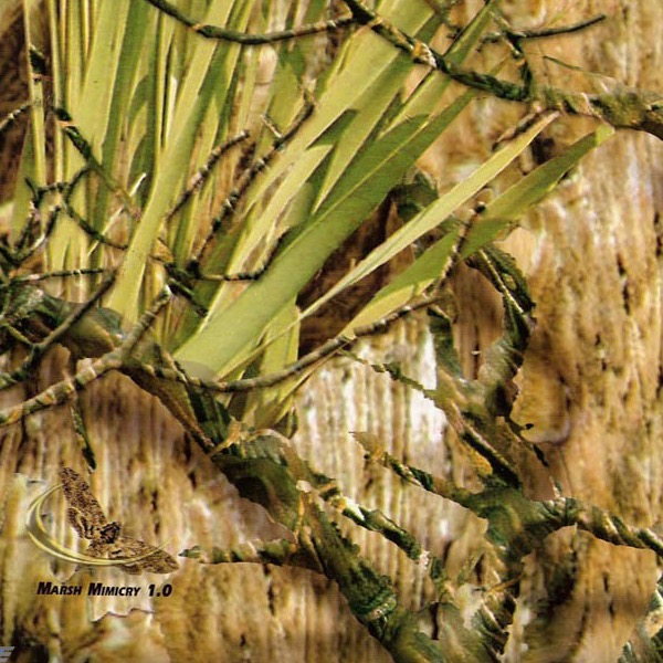 Mothwing-Marsh Mimicry