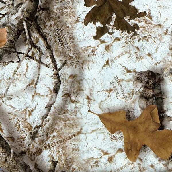 Mothwing-Winter Mimicry