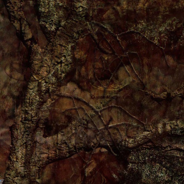 Mothwing-Canyon Mimicry