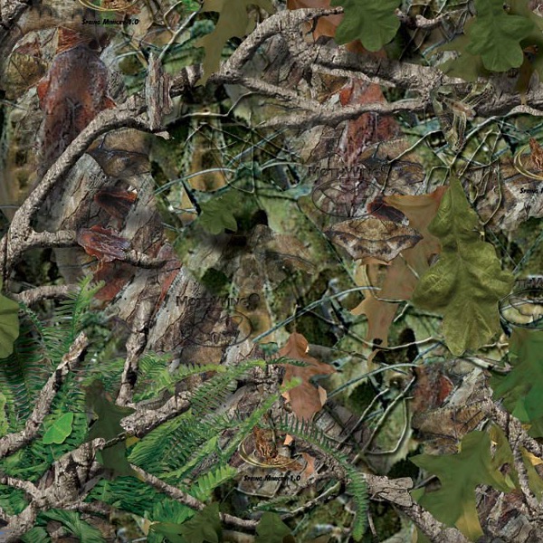 Mothwing-Spring Mimicry