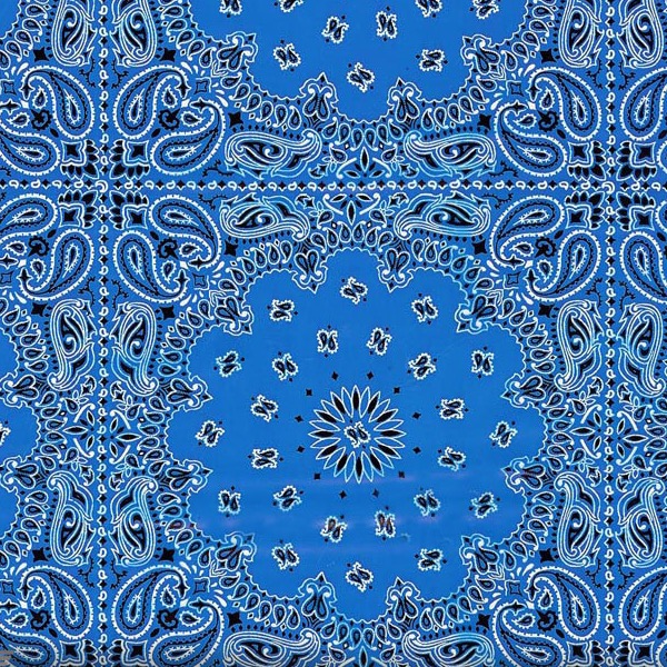 Blue Bandana