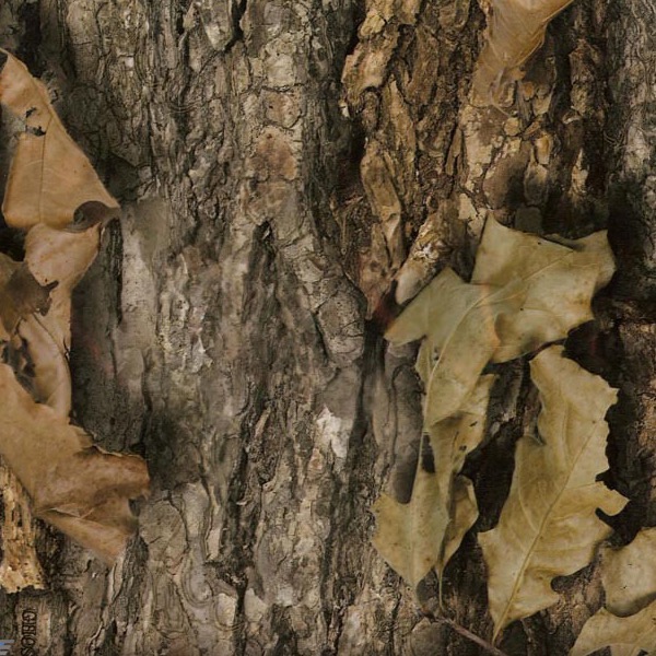 Prairie Ghost-North Woods