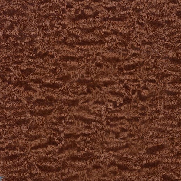 Curly Chocolate Grain