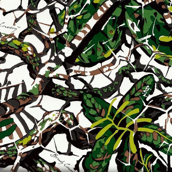 Brush Country Camo