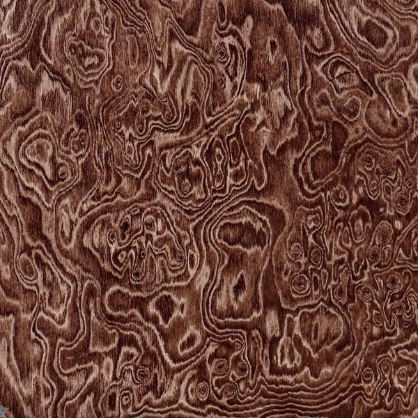 Swirl Burlwood