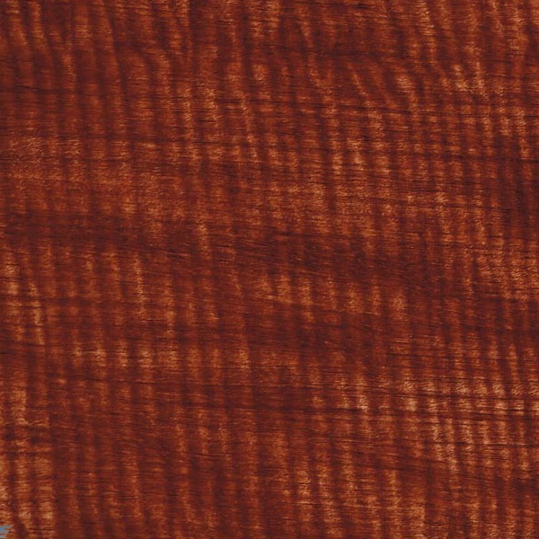 Medium Brown Willow