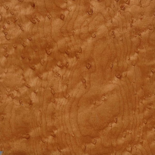 Birdseye Maple