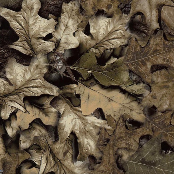 WTP-317-Camo-Fall-Leaf