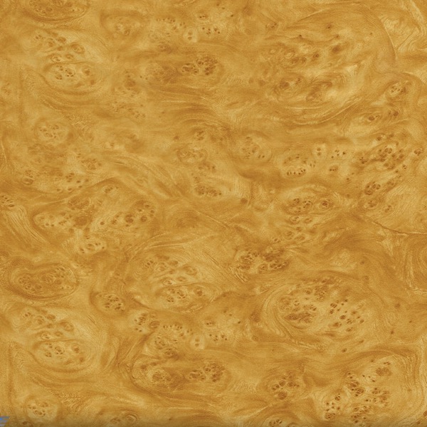 Blonde Carpathian Elm - Burlwood