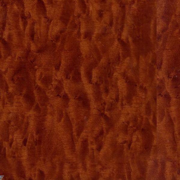 Cinnamon Mottled Eucalyptus