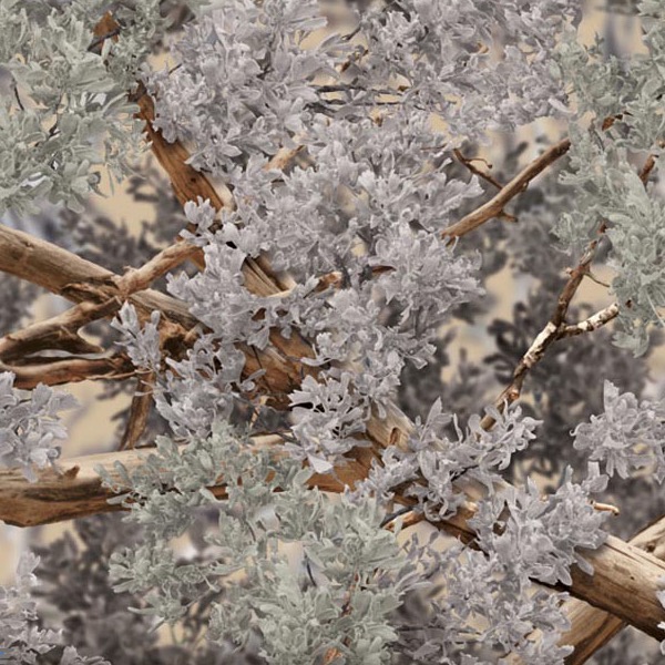 WTP-366_Kings_Desert_Shadow_Camo