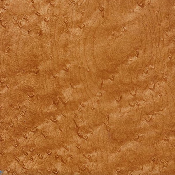 Birdseye Maple