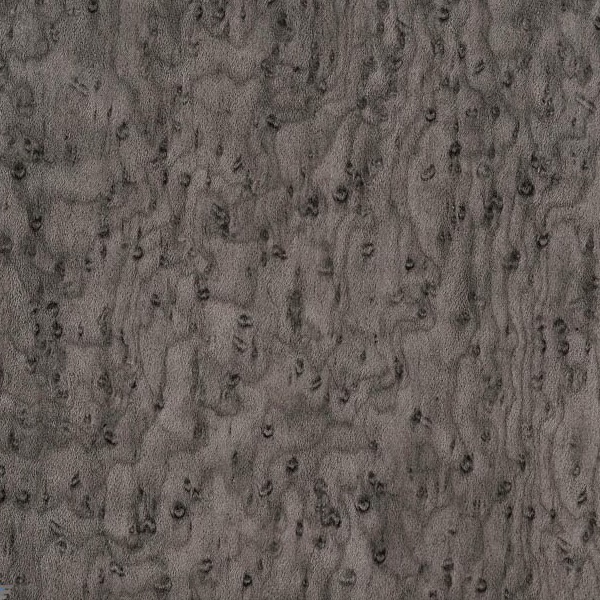 Silver Burl