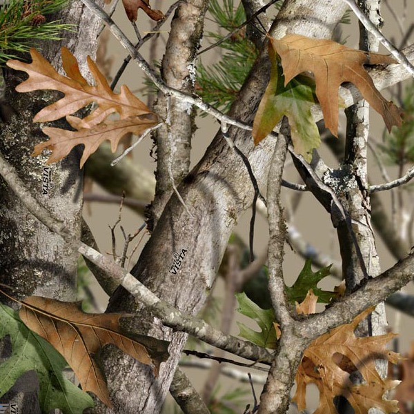 Next Camo-Vista