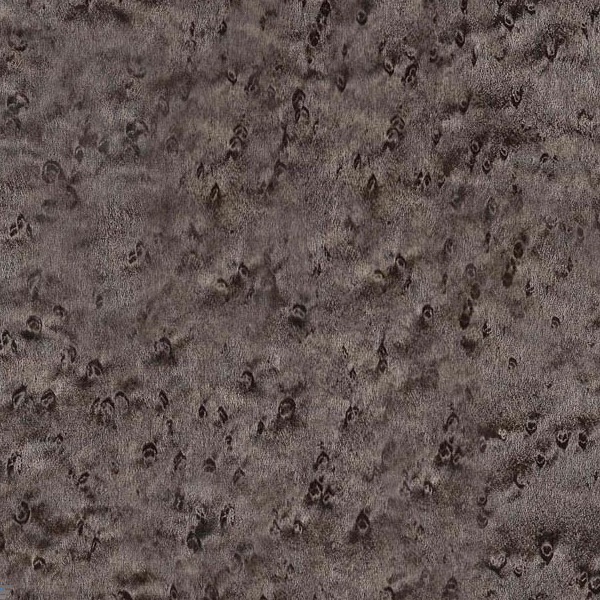 Grey Birdseye
