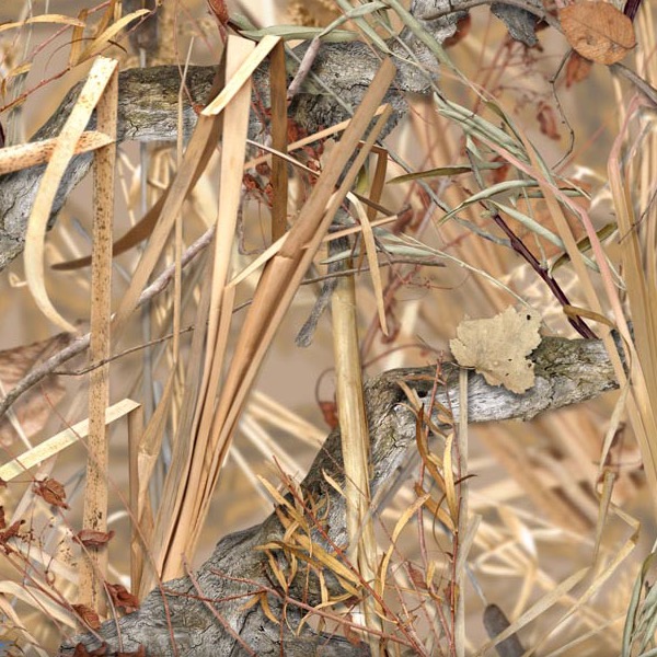 WTP-425_Kings_Field_Shadow