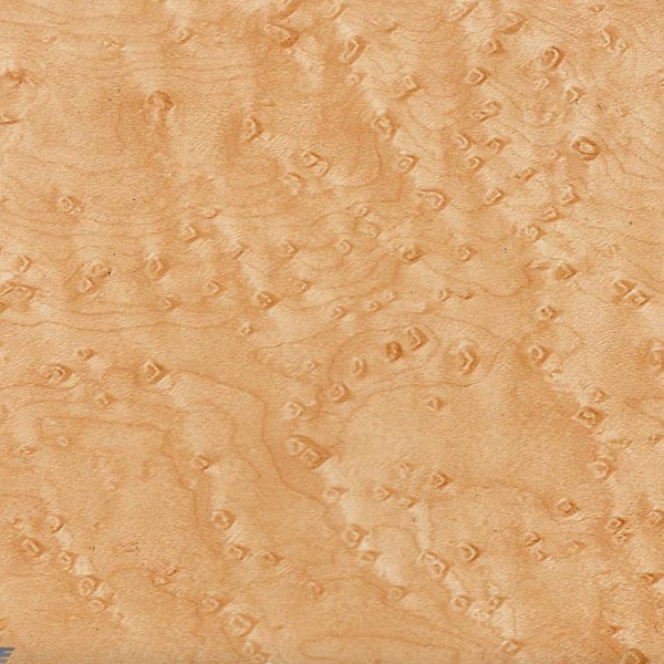 Birdseye Maple