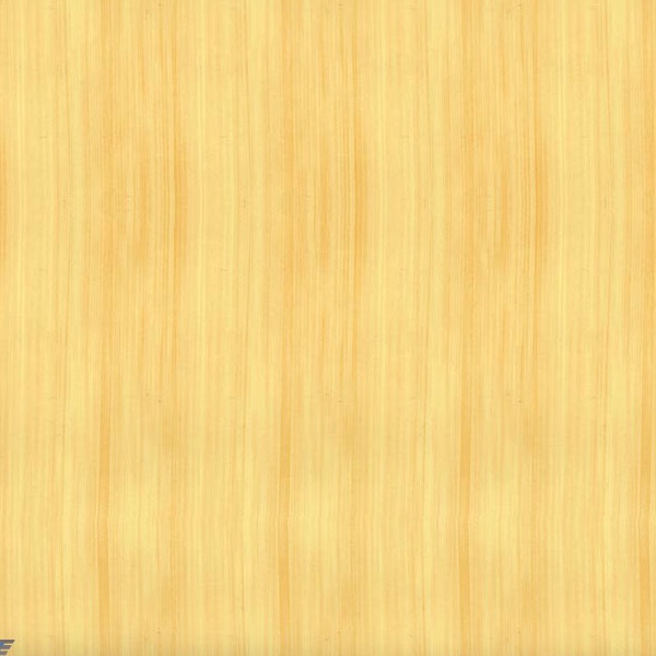 Bamboo