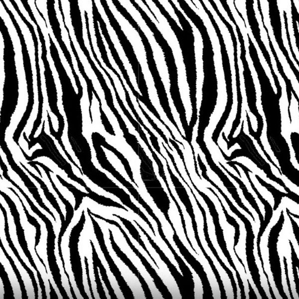 Zebra Mini