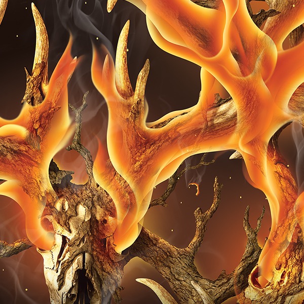 WTP-648_Legends_Blaze