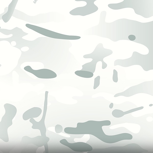 MultiCam Alpine