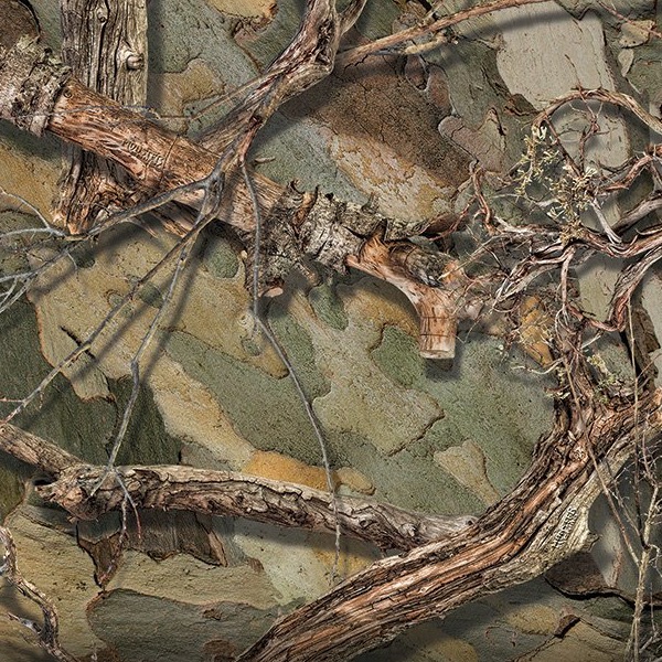 Monster Camo